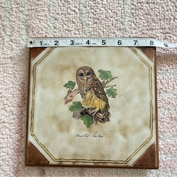 Owl Wall Art Tile Trivet Art 8.5”x8.5” - Picture 6 of 7